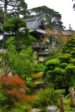 Japanese Tea Garden