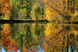 Bailey Arboretum