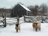 Old Bethpage Village Restoration, Long Island, NY