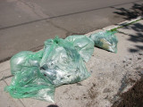 The cleanup - 5 bags of ruined grass and soil