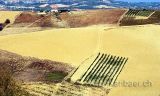 Abruzzo (0374)