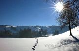 Chruezegg (2568)