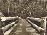 Spanning a small stream Sepia