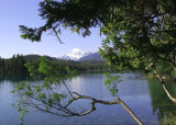 Lac Beauvert, Jasper National Park
