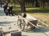 Gardeners in Beijing
