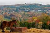 Mozet from Mont Sainte Marie