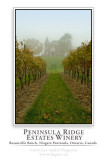 Peninsula Ridge Estates Winery