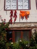 peppers hung out to dry with the laundry