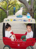 Concordia University 的美麗校園