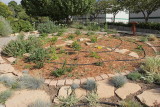 Oasis Garden - Area Z40 (9219)
