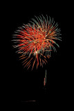 Fireworks 8711