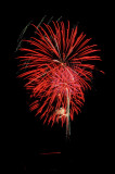 Fireworks 8721