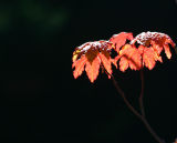 Snow Lake 010.jpg