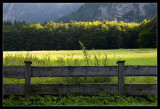 Lake Knigssee