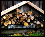Fire Wood