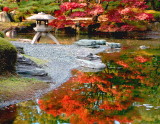 Fall colors Japan