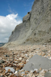 Charmouth Beach