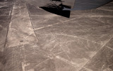 Nazca Lines - Condor