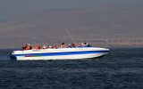 Trip to Paracas - Ballestas Islands