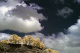 Gunung Batur area