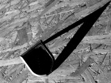 Shadow  in B&W