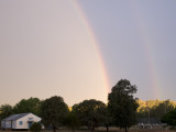Coolatai Rainbow