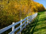 The White Board Fence