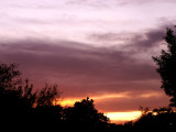 11-25-08Z6 Sunset 2.jpg