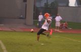 chris v. punt