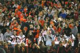 the crowd