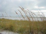 Honeymoon Island State Park