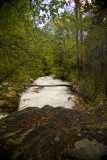  Big Cottonwood Creek (above S-turn)