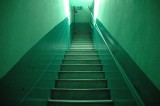 green house effect (stairways to Linas House)