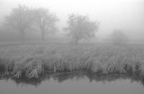 fog and frost (3)