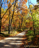 Nickel Family Preserve, OK