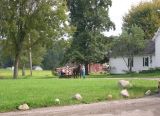 An Amish family in a cart pulled by a horse.