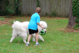 DSC_0158.JPG