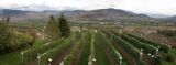 Tinhorn Winery BC Panorama.jpg