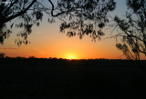 0513- sunrise at kulcurna