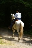 Arriving at Fall Creek