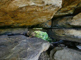 Andrew's Arch