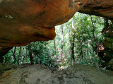 Clear Branch Arch