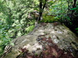 Laurel Branch Lost Camp Arch,  top