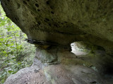 Laurel Branch Window