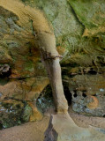 Mill Creek Window #3