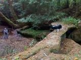 Bear Pen Double Bridge