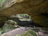 Red Byrd Arch