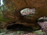 Moccasin Arch