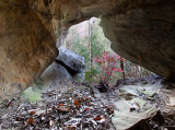 Rawhide Arch