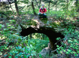Danger Arch, from above